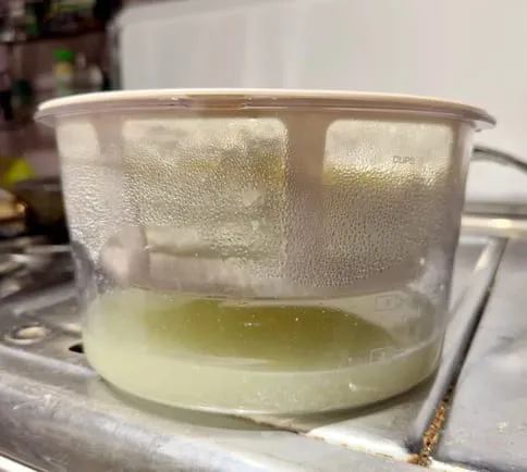 Yogurt Strainer